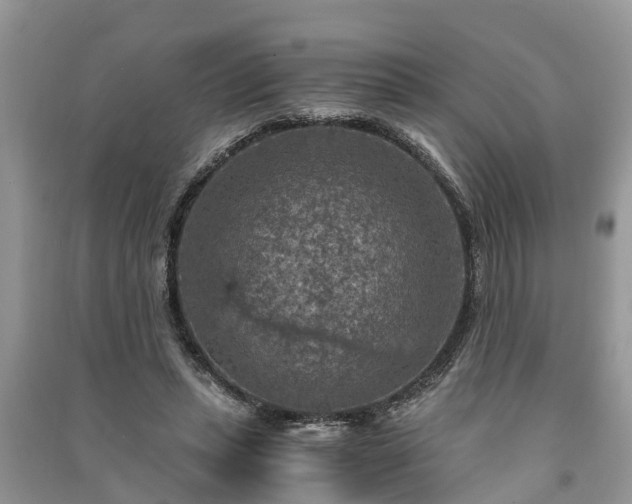 X0000091060447200708131134
