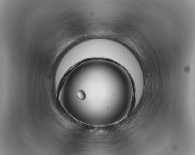 X0000091060448200708131134