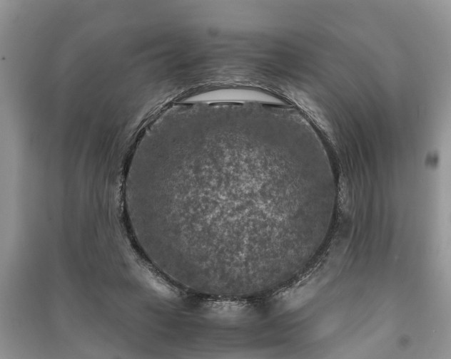 X0000091060449200708131134