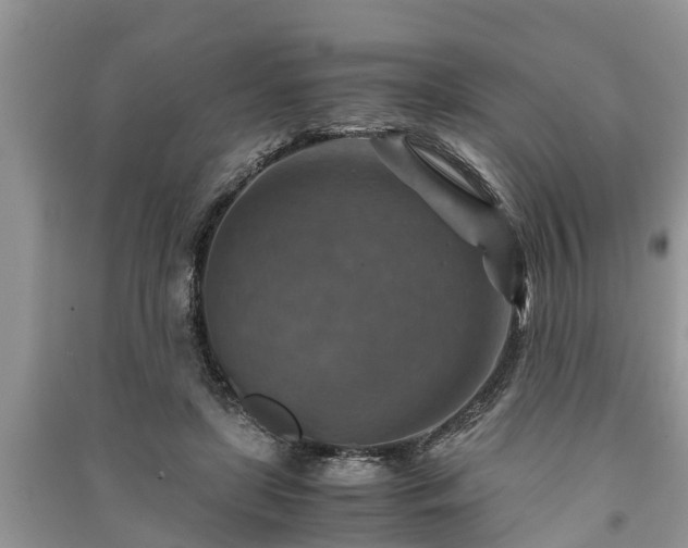 X0000091060451200708131134