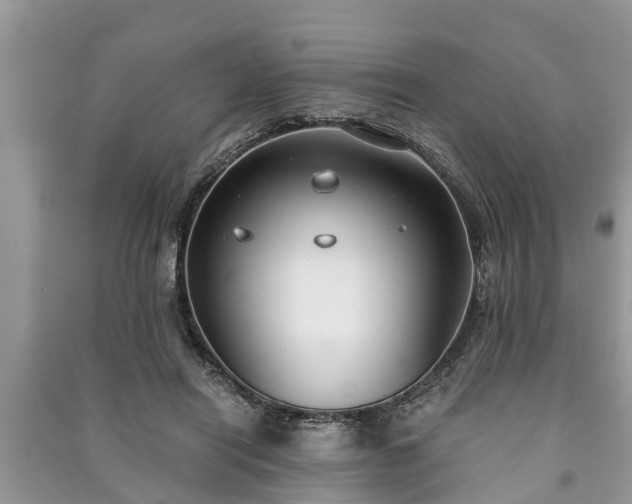 X0000091060454200708131134