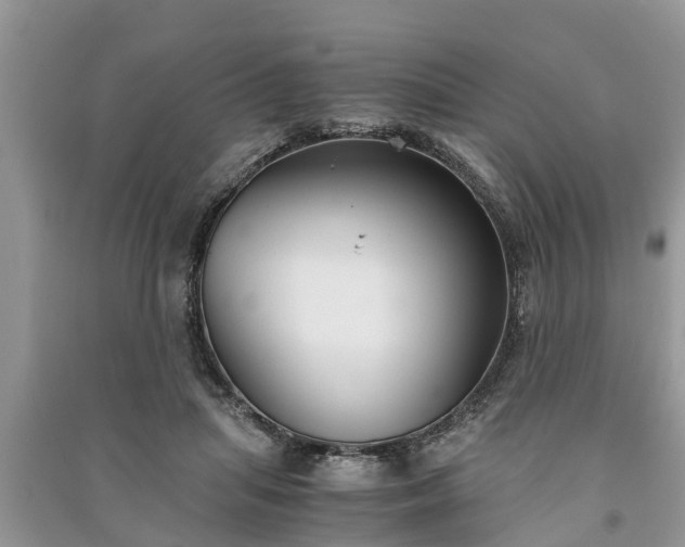 X0000091060455200708131134