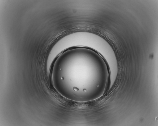 X0000091060456200708131134