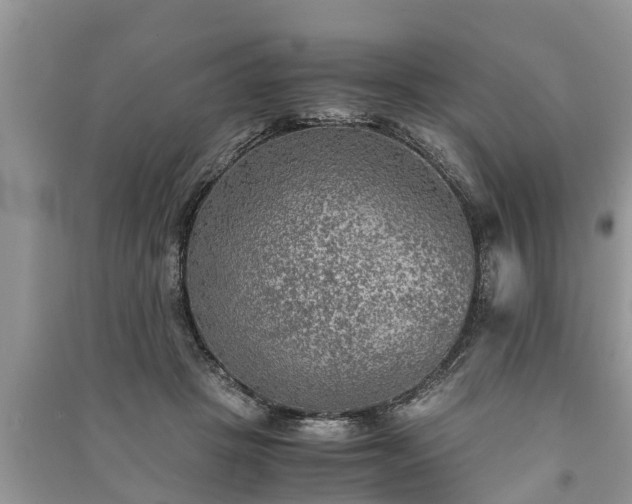X0000091060457200708131134
