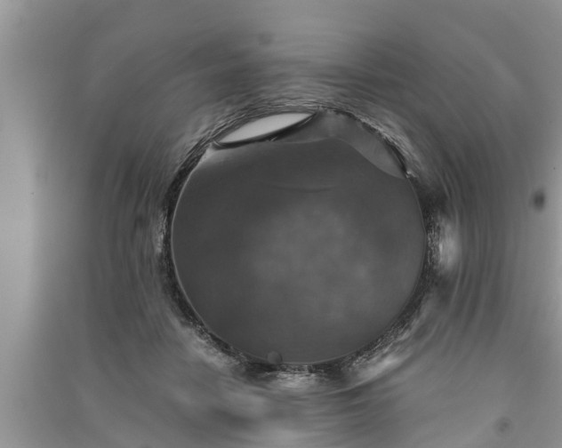 X0000091060458200708131134