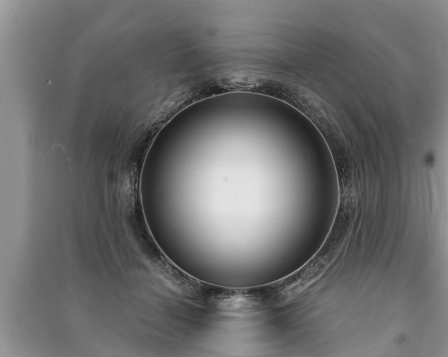 X0000091060460200708131134