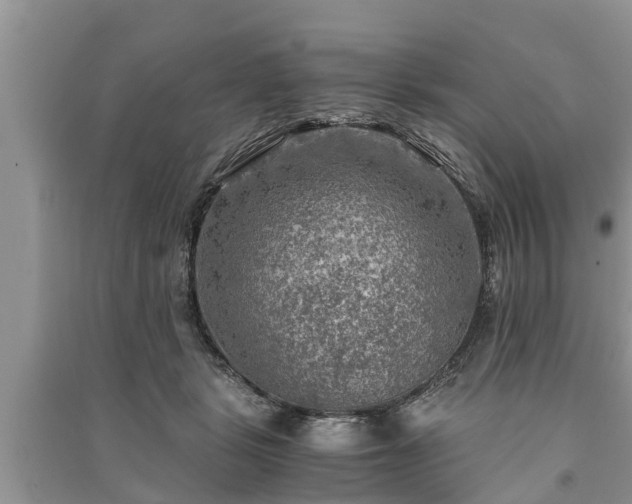 X0000091060461200708131134