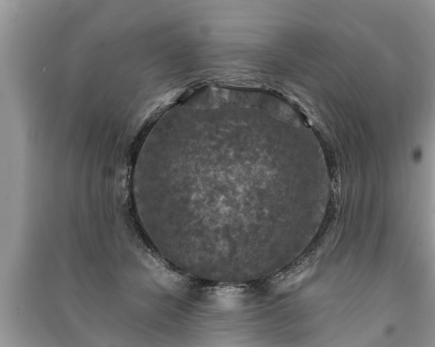X0000091060462200708131134