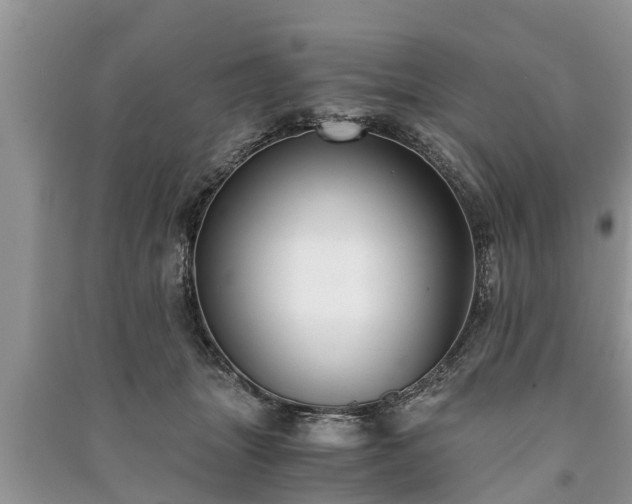 X0000091060463200708131134
