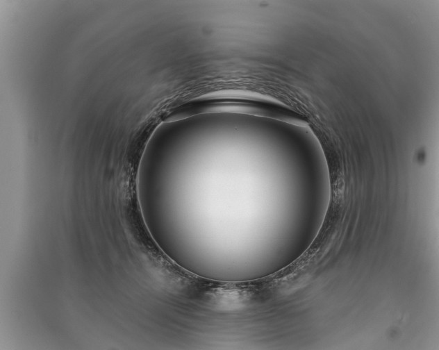 X0000091060464200708131134