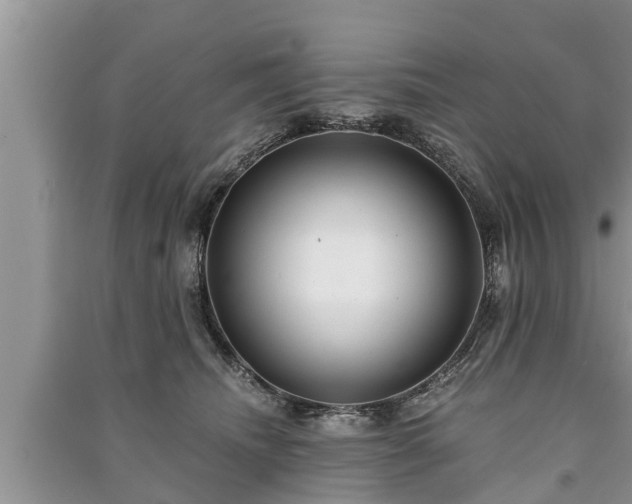 X0000091060468200708131134