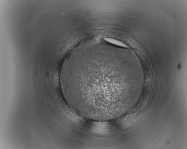 X0000091060469200708131134