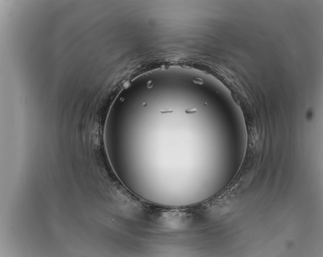 X0000091060470200708131134