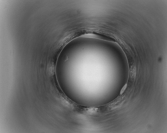 X0000091060474200708131134