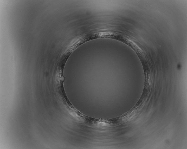 X0000091060475200708131134