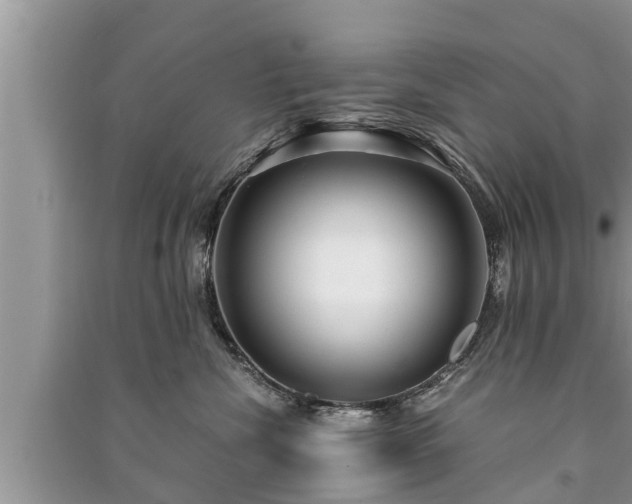 X0000091060476200708131134