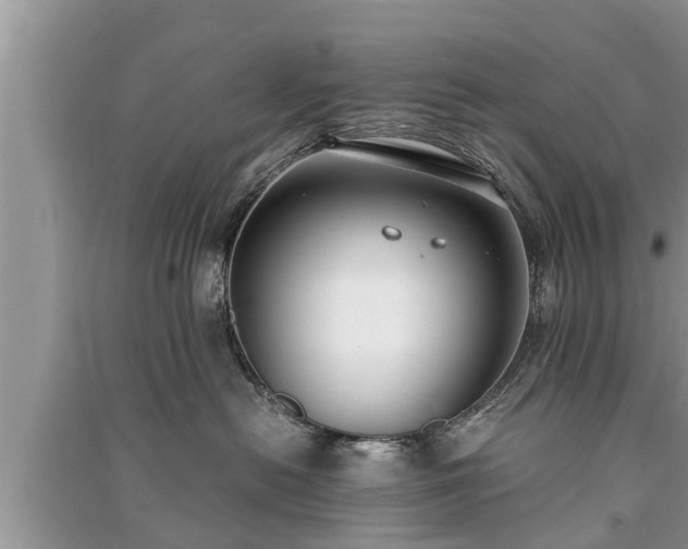 X0000091060478200708131134