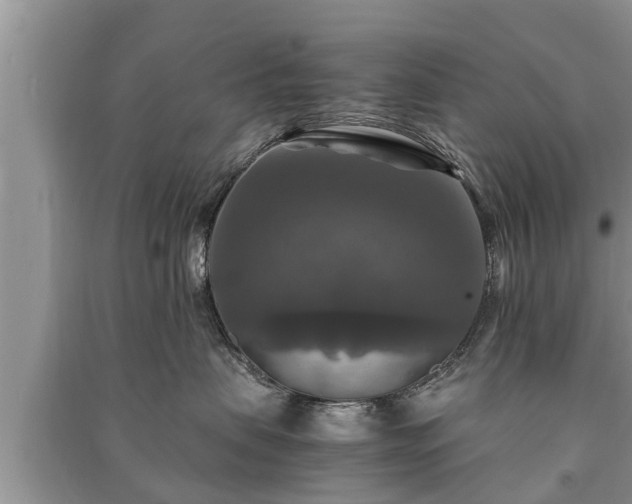 X0000091060479200708131134