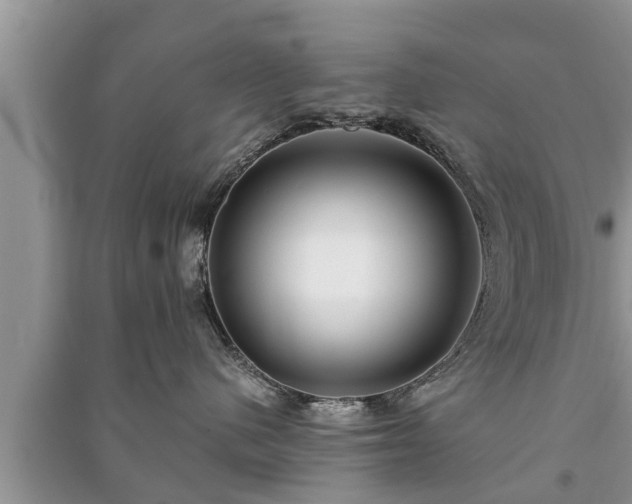 X0000091060480200708131134