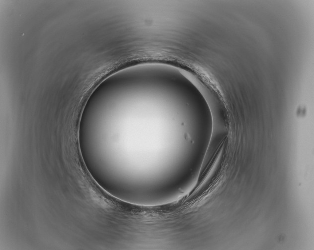 X0000091060481200708131133