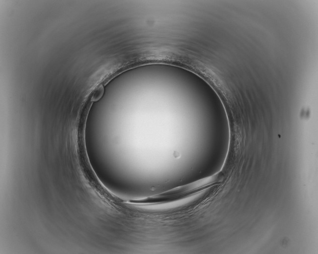 X0000091060482200708131133