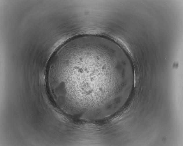 X0000091060483200708131133