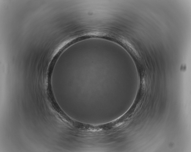 X0000091060484200708131133
