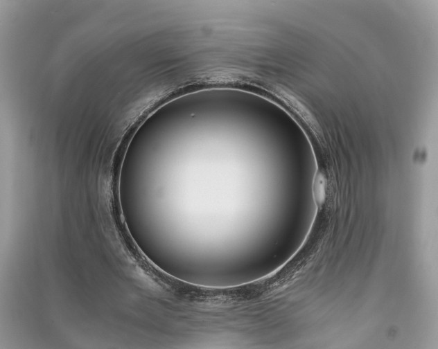 X0000091060485200708131133