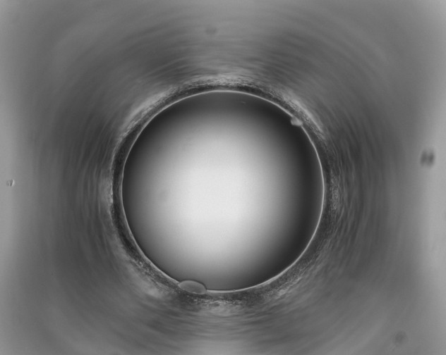 X0000091060486200708131133