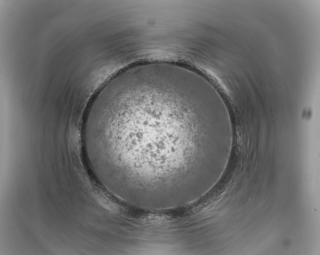 X0000091060487200708131133