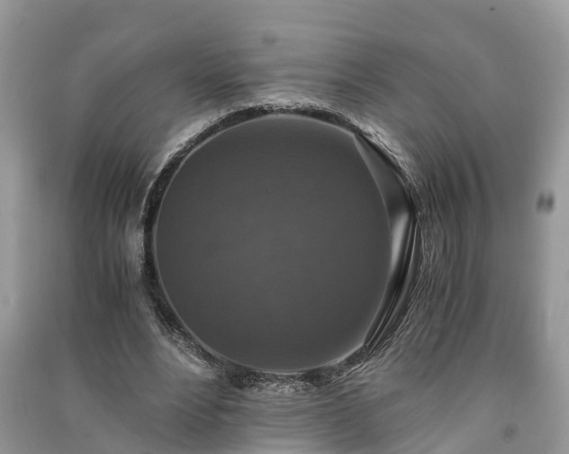 X0000091060488200708131133