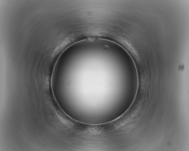 X0000091060489200708131133