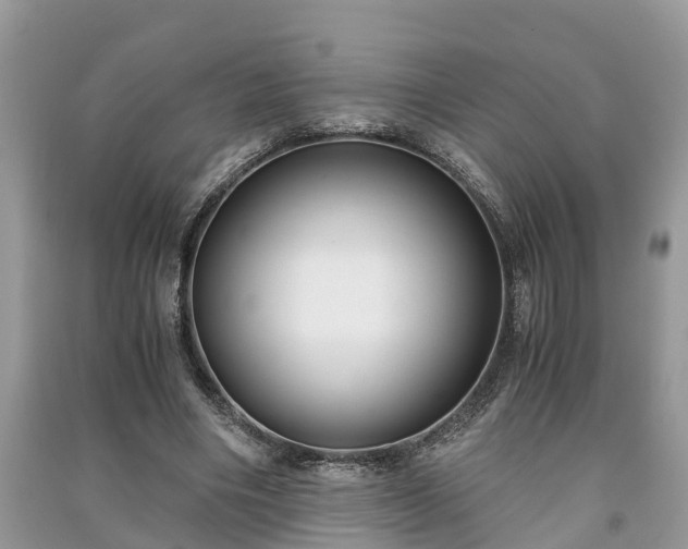 X0000091060490200708131133