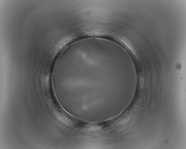 X0000091060491200708131133