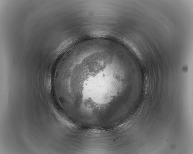 X0000091060494200708131133