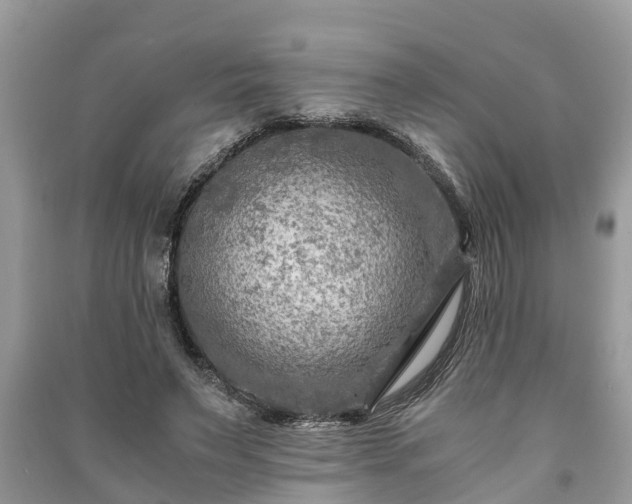 X0000091060495200708131133