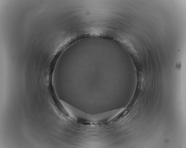 X0000091060496200708131133
