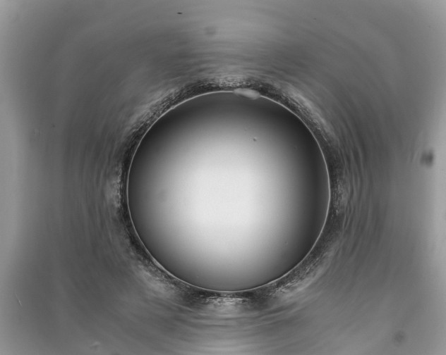 X0000091060497200708131133