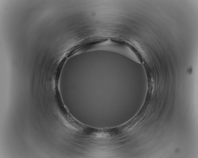 X0000091060500200708131133