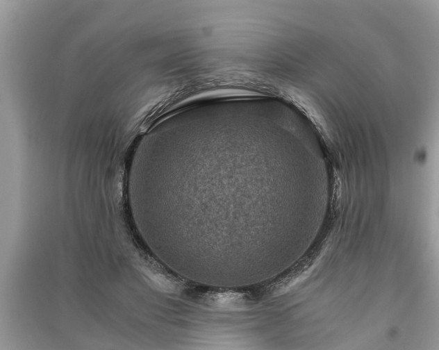 X0000091060501200708131133