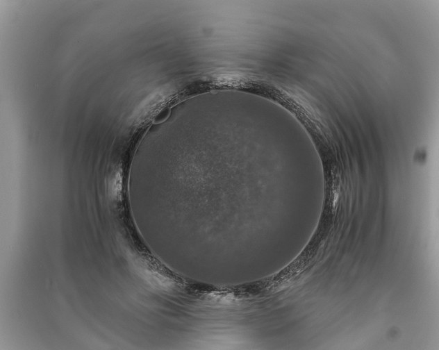 X0000091060502200708131133