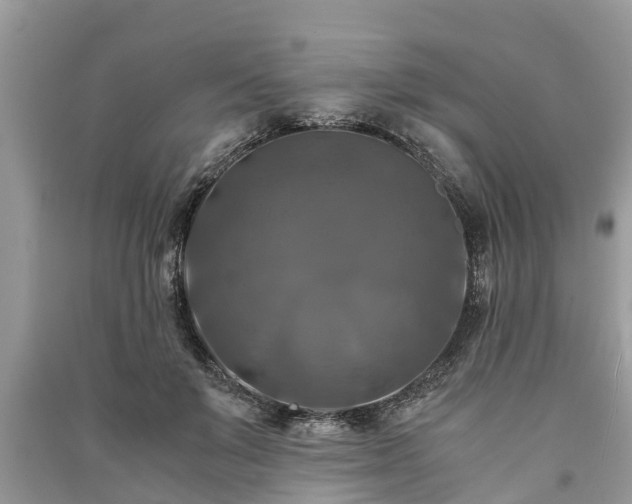 X0000091060503200708131133