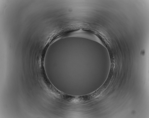 X0000091060504200708131133