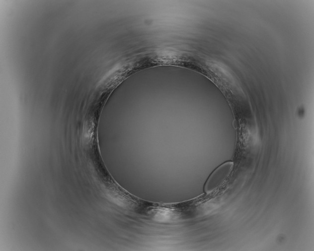 X0000091060507200708131133