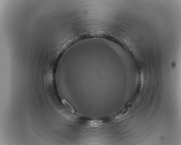 X0000091060508200708131133