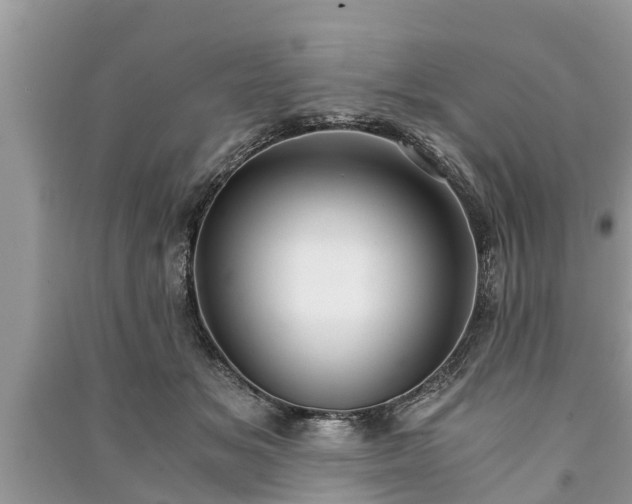 X0000091060509200708131133
