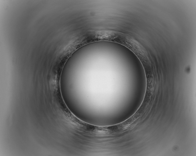 X0000091060510200708131133
