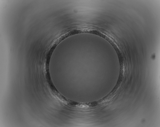 X0000091060512200708131133