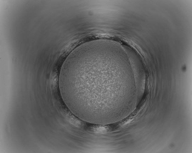 X0000091060513200708131133