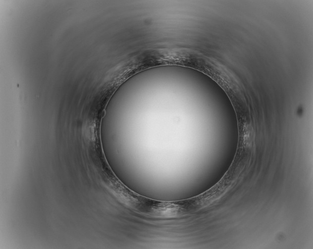 X0000091060514200708131133